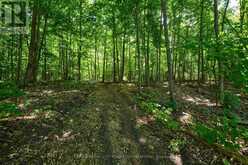 2069 HIGHWAY 132 HIGHWAY | Renfrew Ontario | Slide Image Forty-two