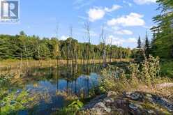 0 CONNAUGHT ROAD | Cobden Ontario | Slide Image Eight
