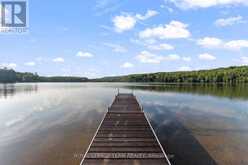 67 LORBETSKIE ROAD | Madawaska Valley Ontario | Slide Image Thirty-eight