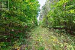 00 OPEONGO ROAD | Eganville Ontario | Slide Image Thirty-five