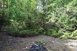 1440 RIDEAU RIVER ROAD | Merrickville Ontario | Slide Image Sixteen