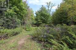 1440 RIDEAU RIVER ROAD | Merrickville Ontario | Slide Image Six