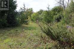 1440 RIDEAU RIVER ROAD | Merrickville Ontario | Slide Image Nine