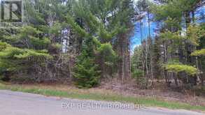 0 GINZA STREET | Greater Madawaska Ontario | Slide Image Three