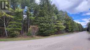 0 GINZA STREET | Greater Madawaska Ontario | Slide Image Four