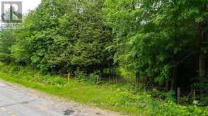1148 MT ST PATRICK ROAD | Renfrew Ontario | Slide Image Two