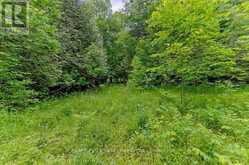 1148 MT ST PATRICK ROAD | Renfrew Ontario | Slide Image Five