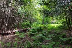 1148 MT ST PATRICK ROAD | Renfrew Ontario | Slide Image Eight