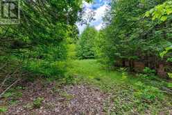 1148 MT ST PATRICK ROAD | Renfrew Ontario | Slide Image Nine