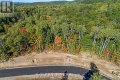 LOT 40 YANTHA CRESCENT | Madawaska Valley Ontario | Slide Image Two