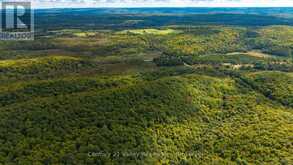 1998 MATAWATCHAN ROAD | Greater Madawaska Ontario | Slide Image Twelve