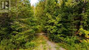 1998 MATAWATCHAN ROAD | Greater Madawaska Ontario | Slide Image Thirty-four