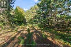 2740 ROUND LAKE ROAD | Killaloe, Hagarty and Richards Ontario | Slide Image Ten