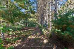 2740 ROUND LAKE ROAD | Killaloe, Hagarty and Richards Ontario | Slide Image Twelve