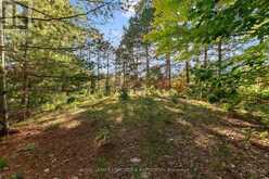 2740 ROUND LAKE ROAD | Killaloe, Hagarty and Richards Ontario | Slide Image Six
