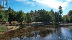 1157B TURNERS ROAD | Killaloe, Hagarty and Richards Ontario | Slide Image Thirty-two