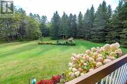 368 DOMBROSKIE ROAD | Whitewater Region Ontario | Slide Image Forty-six