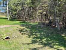 0 DOMBROSKIE ROAD | Whitewater Region Ontario | Slide Image Ten