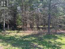 0 DOMBROSKIE ROAD | Whitewater Region Ontario | Slide Image Twelve