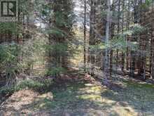 0 DOMBROSKIE ROAD | Whitewater Region Ontario | Slide Image Thirteen