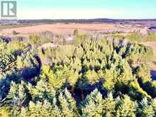 0 DOMBROSKIE ROAD | Whitewater Region Ontario | Slide Image Nineteen