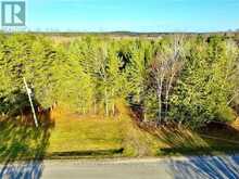 0 DOMBROSKIE ROAD | Whitewater Region Ontario | Slide Image Five