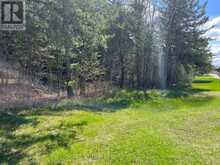 0 DOMBROSKIE ROAD | Whitewater Region Ontario | Slide Image Nine
