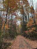 495 GRAVEL PIT LANE | Coe Hill Ontario | Slide Image Thirty-eight