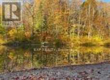 1703 MATAWATCHAN ROAD | Greater Madawaska Ontario | Slide Image Thirty-six