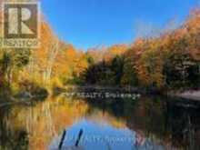 1703 MATAWATCHAN ROAD | Greater Madawaska Ontario | Slide Image Three