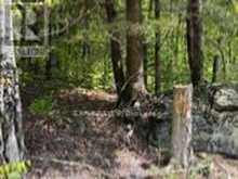 1703 MATAWATCHAN ROAD | Greater Madawaska Ontario | Slide Image Forty