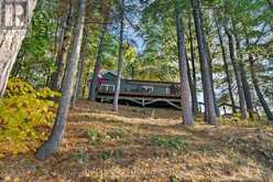 1221 TRAMORE ROAD | North Algona Wilberforce Ontario | Slide Image One