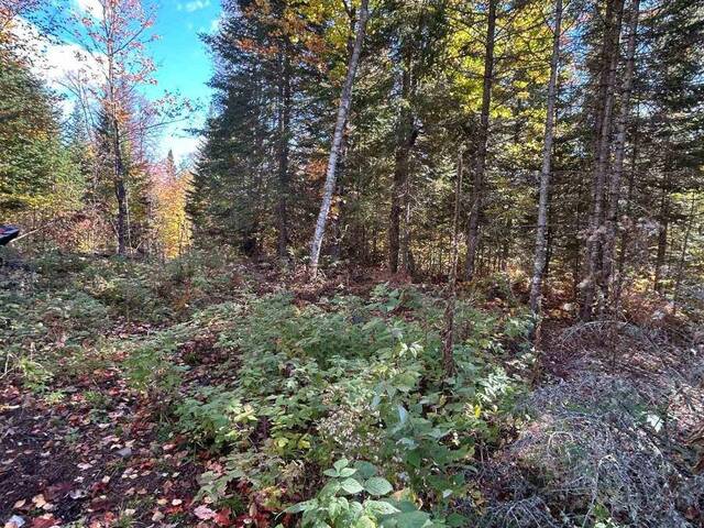 0 ROSIEN ROAD Eganville Ontario, K0J 1T0 - Waterfront Land For Sale