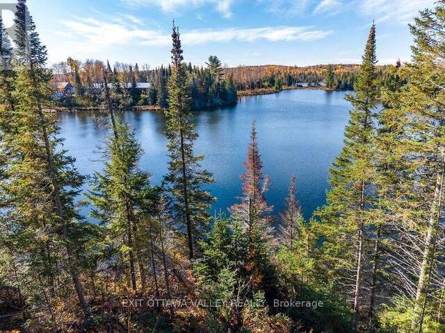 0 ROSIEN ROAD Eganville Ontario, K0J 1T0 - Waterfront Land For Sale