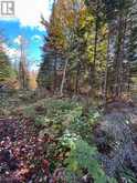 0 ROSIEN ROAD | Eganville Ontario | Slide Image One