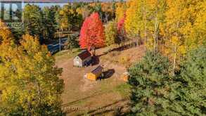 12894 HIGHWAY 60 HIGHWAY | North Algona Wilberforce Ontario | Slide Image One