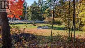 12894 HIGHWAY 60 HIGHWAY | North Algona Wilberforce Ontario | Slide Image Twenty