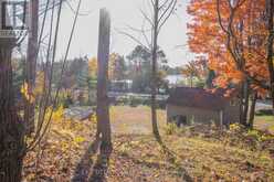 12894 HIGHWAY 60 HIGHWAY | North Algona Wilberforce Ontario | Slide Image Thirty