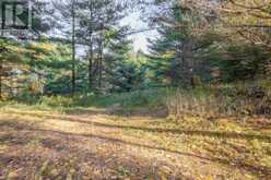 12894 HIGHWAY 60 HIGHWAY | North Algona Wilberforce Ontario | Slide Image Forty-two