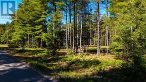 536 PINE STREET | Greater Madawaska Ontario | Slide Image Eighteen