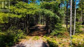 536 PINE STREET | Greater Madawaska Ontario | Slide Image One