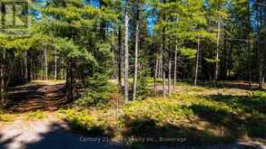 536 PINE STREET | Greater Madawaska Ontario | Slide Image Eight