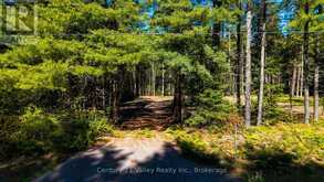 536 PINE STREET | Greater Madawaska Ontario | Slide Image Nine
