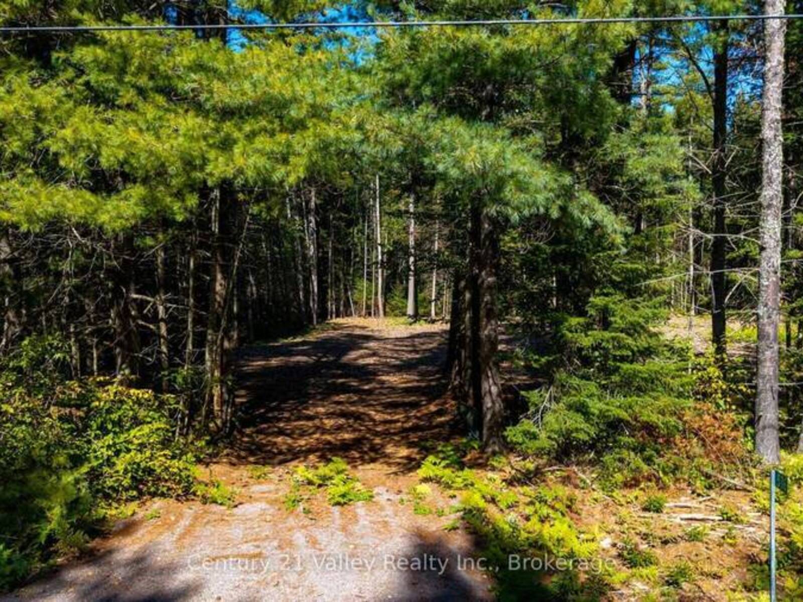 536 PINE STREET, Greater Madawaska, Ontario K0J 2R0