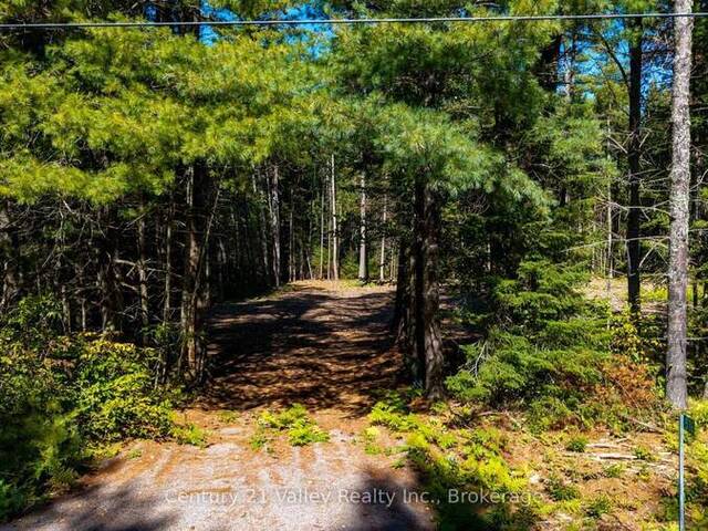 536 PINE STREET Greater Madawaska Ontario, K0J 2R0 - Vacant Land For Sale
