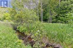 154 MCCAULEY MOUNTAIN ROAD | Bonnechere Valley Ontario | Slide Image Eight