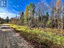 1 CARTY ROAD | North Algona Wilberforce Ontario | Slide Image Seventeen