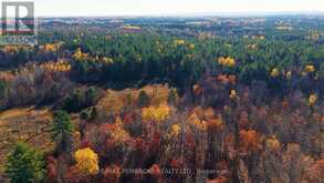 505 ALBERT STREET | Killaloe, Hagarty and Richards Ontario | Slide Image Eight
