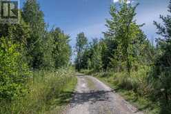 LOT 250 MCGUIRE BEACH ROAD | Kawartha Lakes Ontario | Slide Image Seventeen