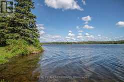 LOT 250 MCGUIRE BEACH ROAD | Kawartha Lakes Ontario | Slide Image Twenty